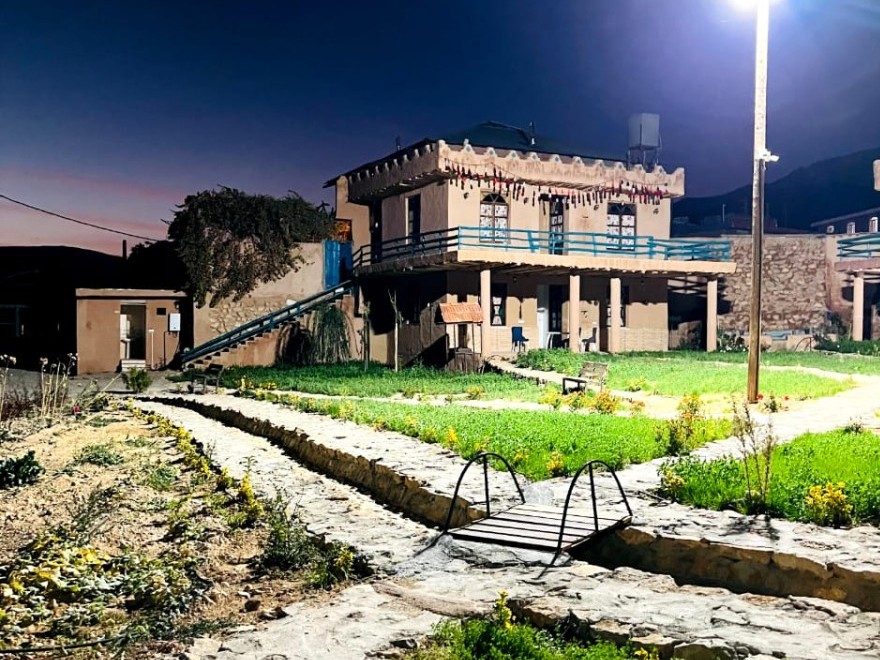 حیاط