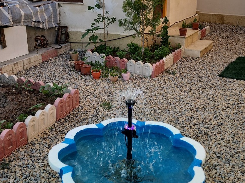 حیاط