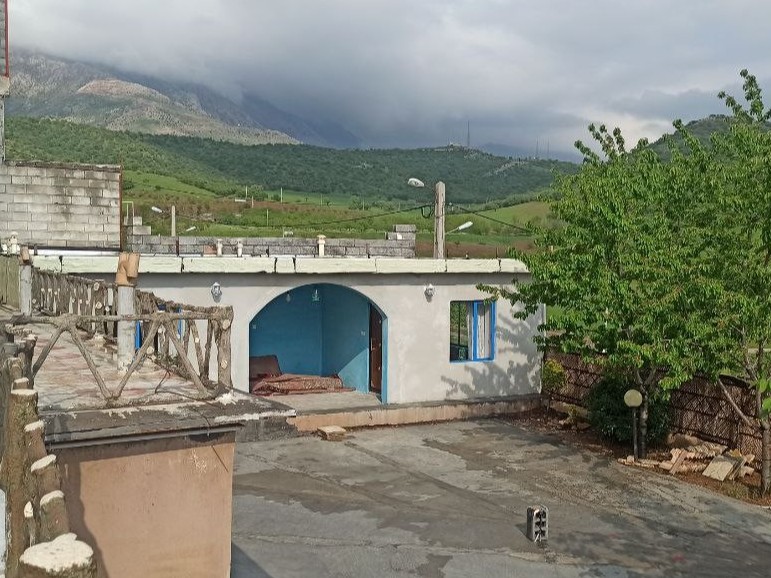 حیاط