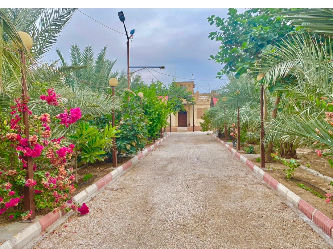 حیاط