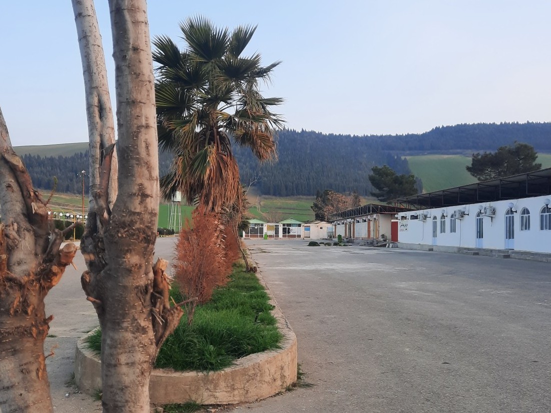 محوطه
