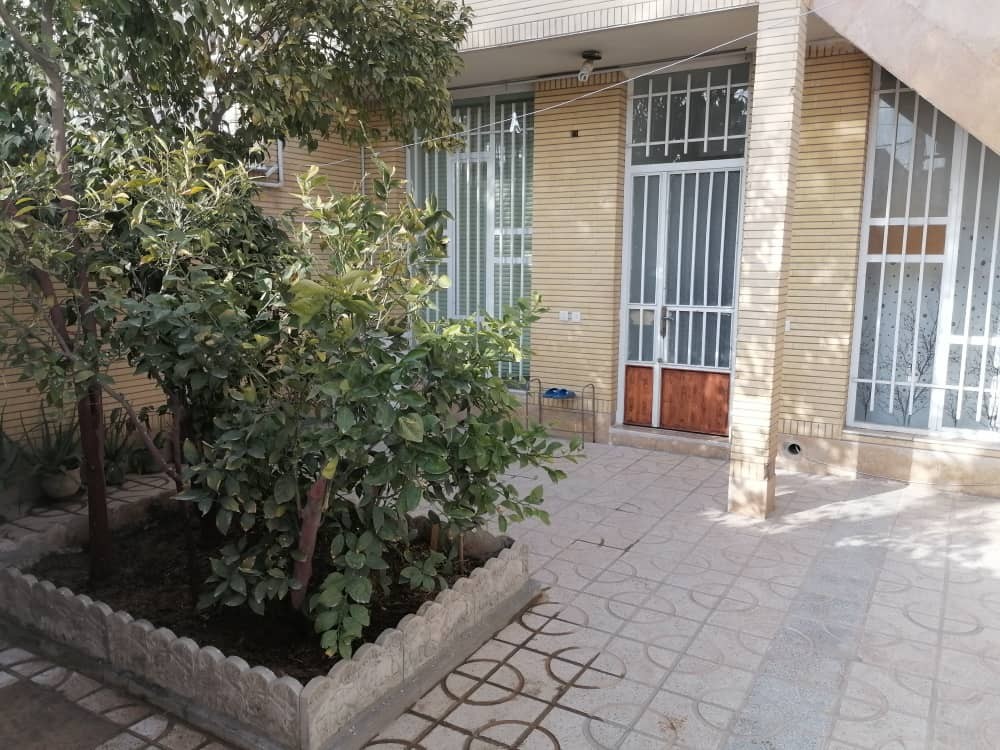 حیاط