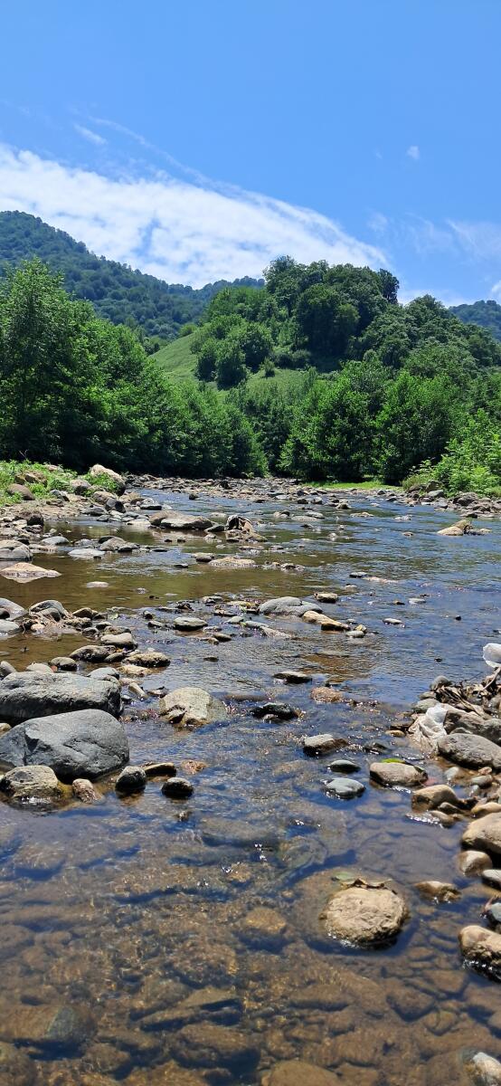 رودخانه مجاور ویلا