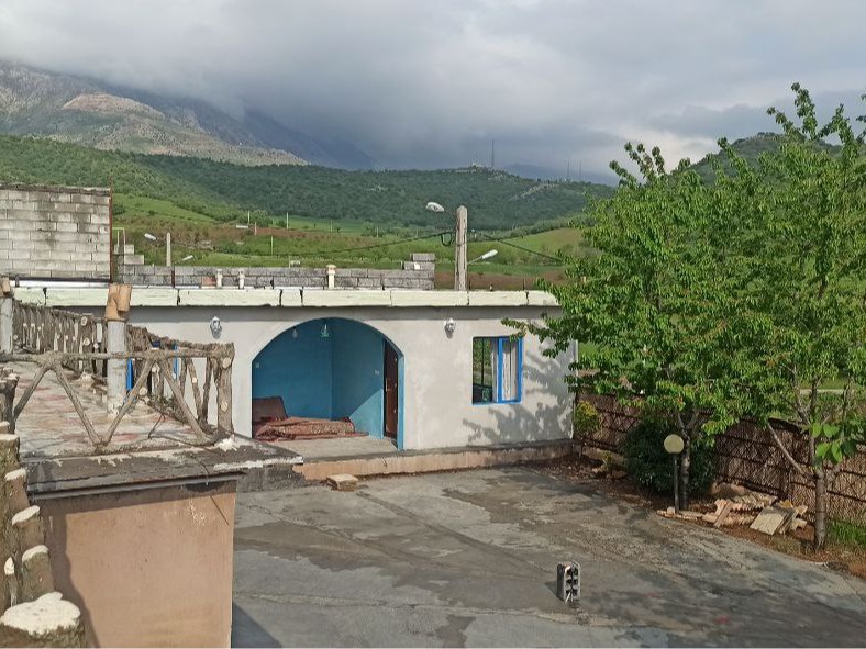 حیاط