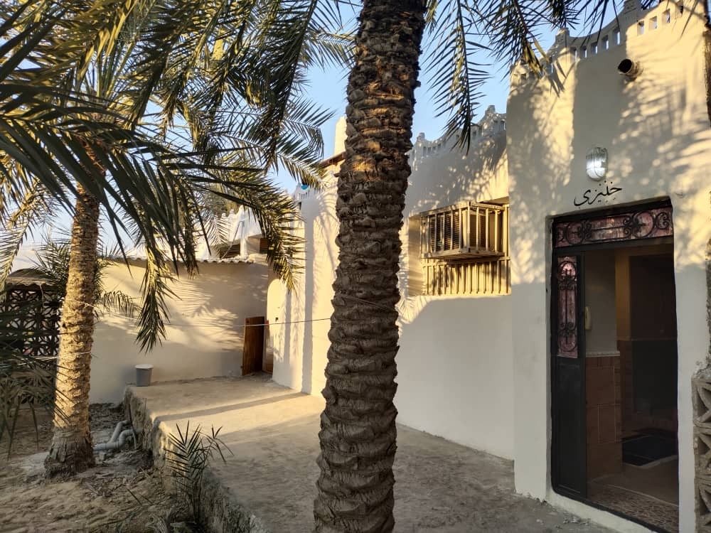 حیاط