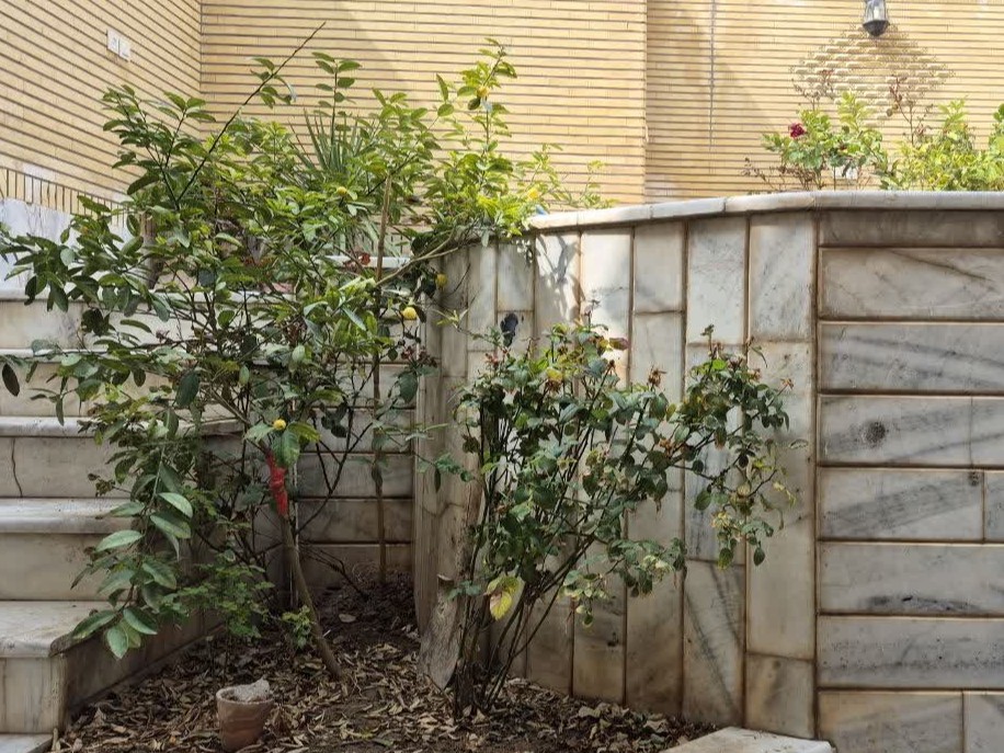 تراس