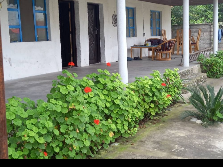 نمای تراس نمای تراس