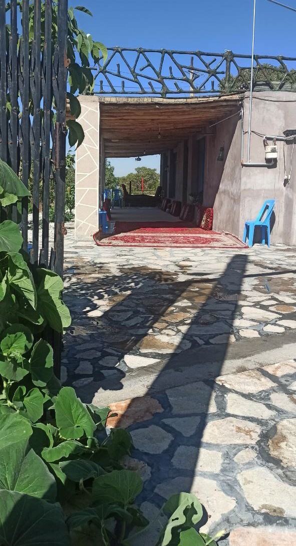 حیاط