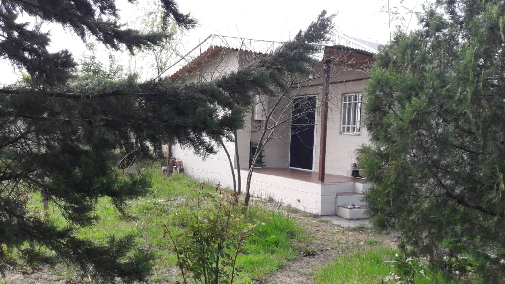 حیاط