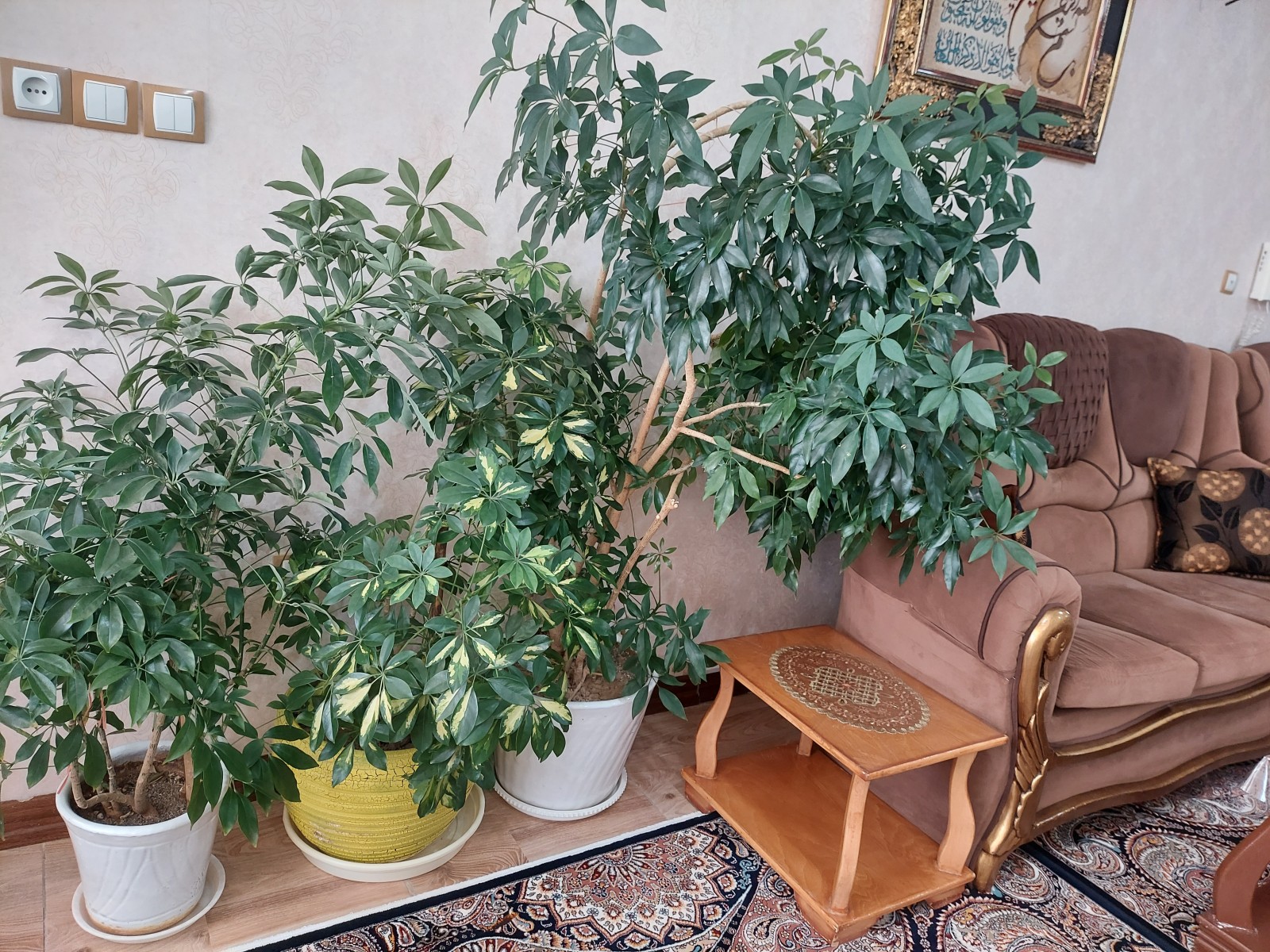 اتاق پذیرایی