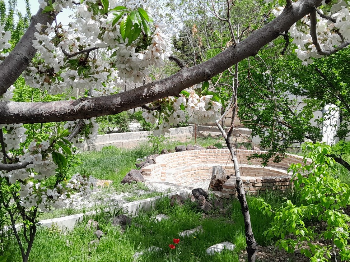 حیاط