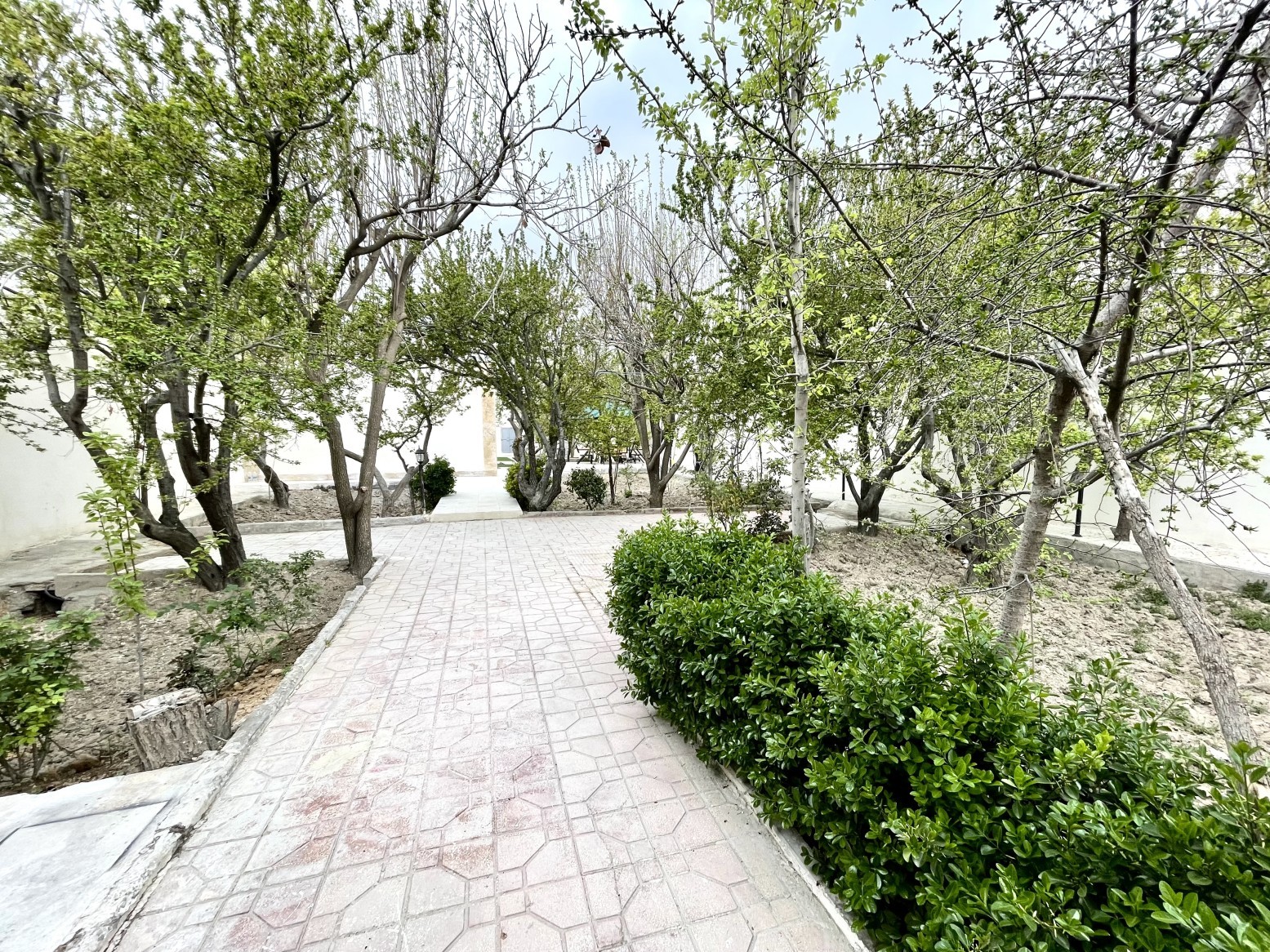 حیاط