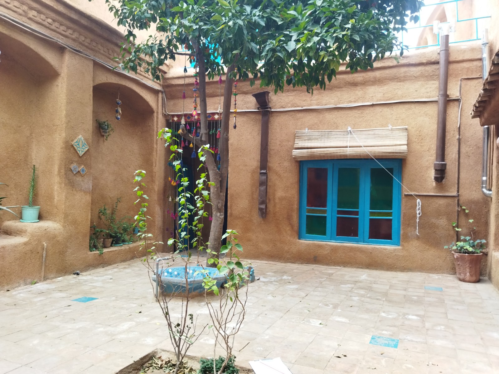 حیاط