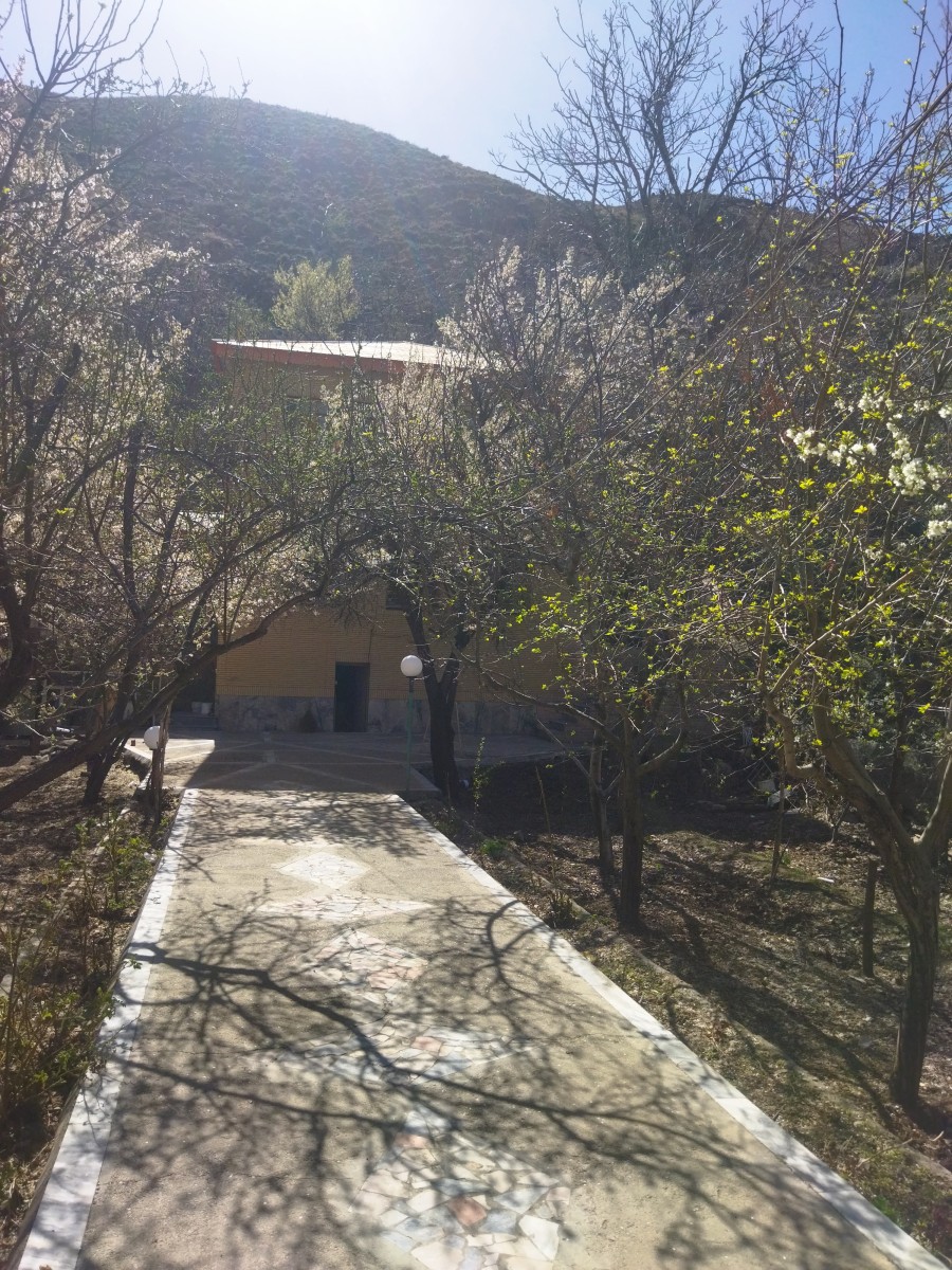 حیاط