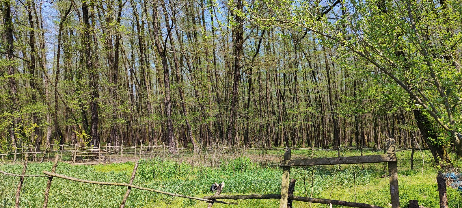 فضای خارجی اقامتگاه