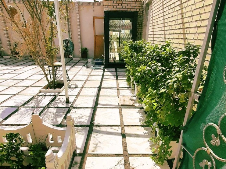 حیاط
