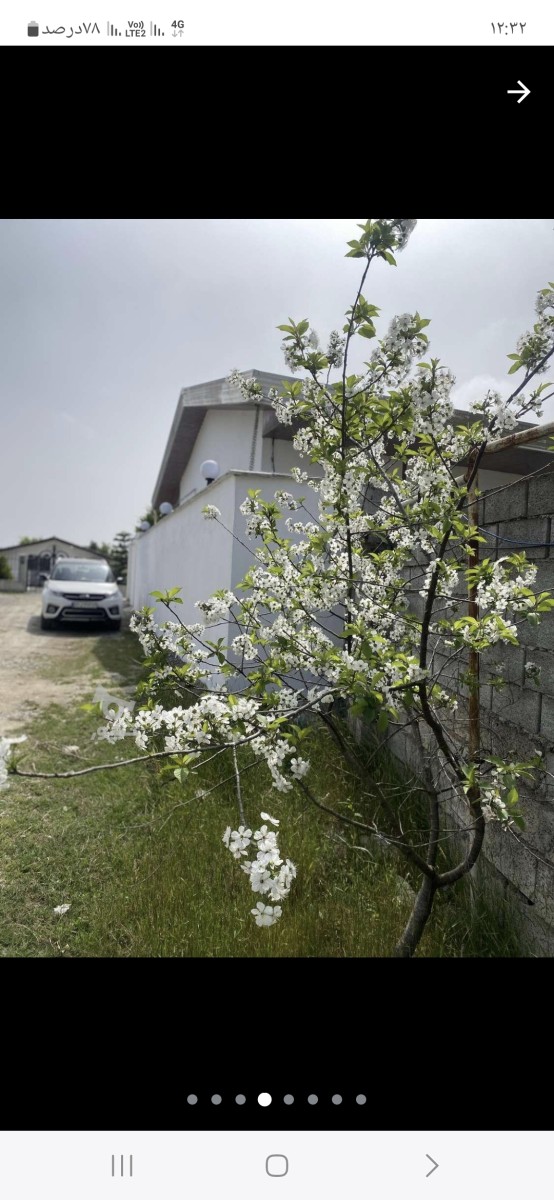 نمای ساختمان نمای ساختمان