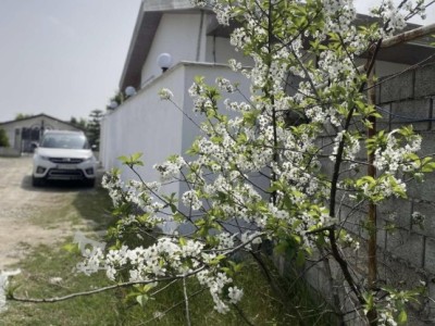 ویلای استخردار "محسن" در بابلسر