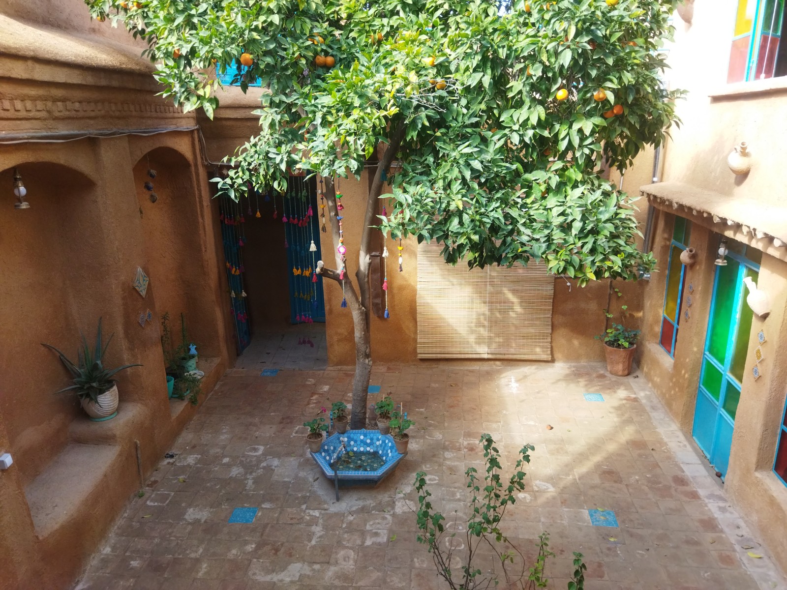 حیاط