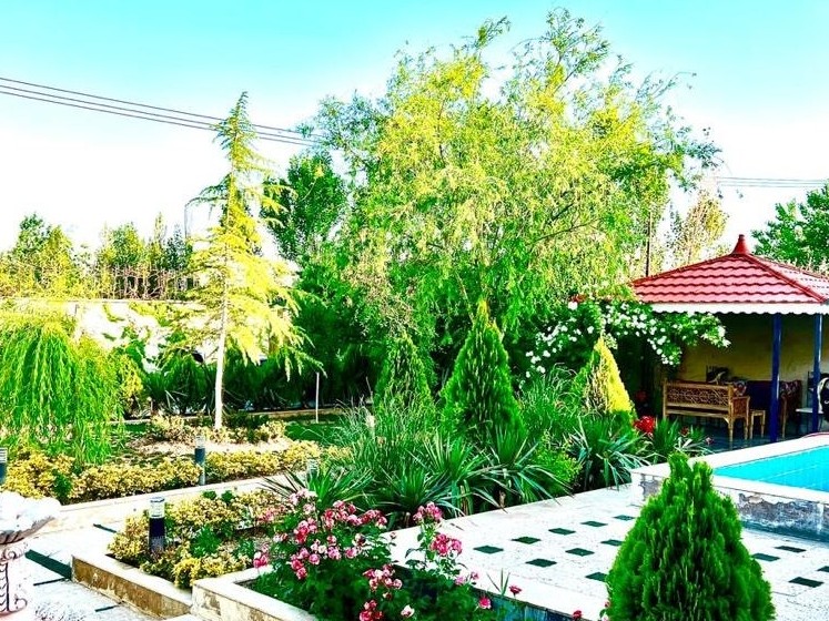 حیاط