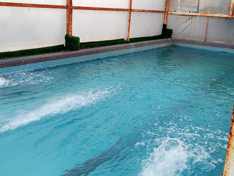 استخر استخر