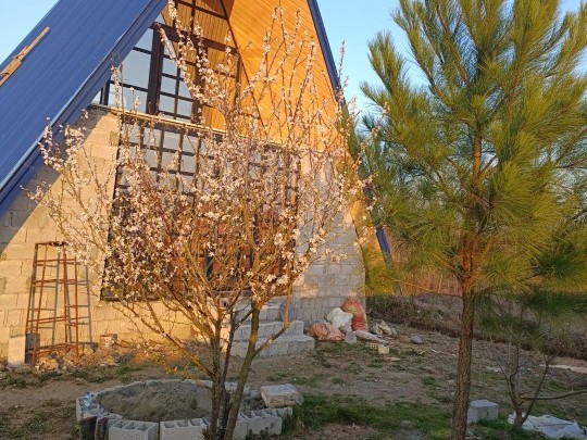 نمای ساختمان نمای ساختمان