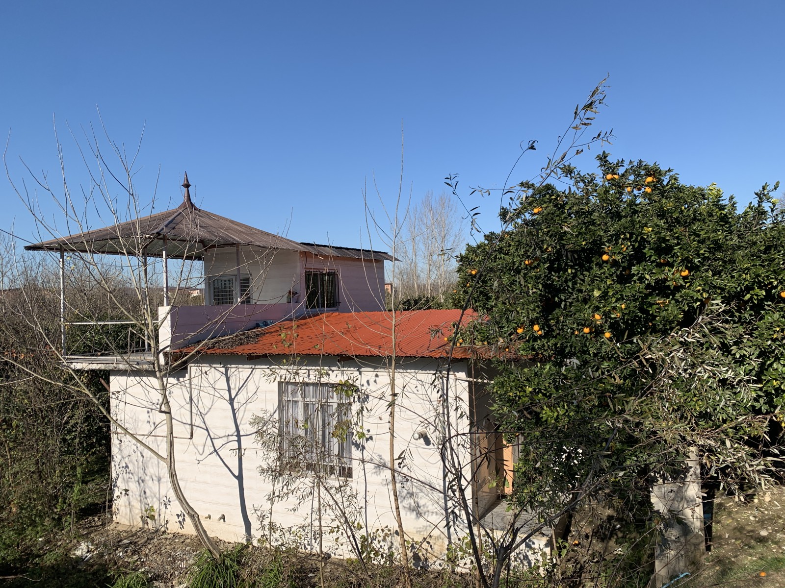 نمای بیرونی