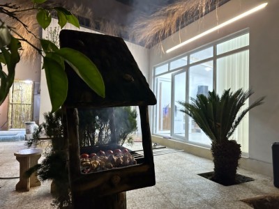 ویلای حیاط دار "بالی"