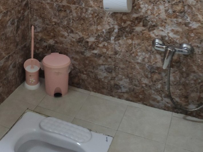 سرویس بهداشتی