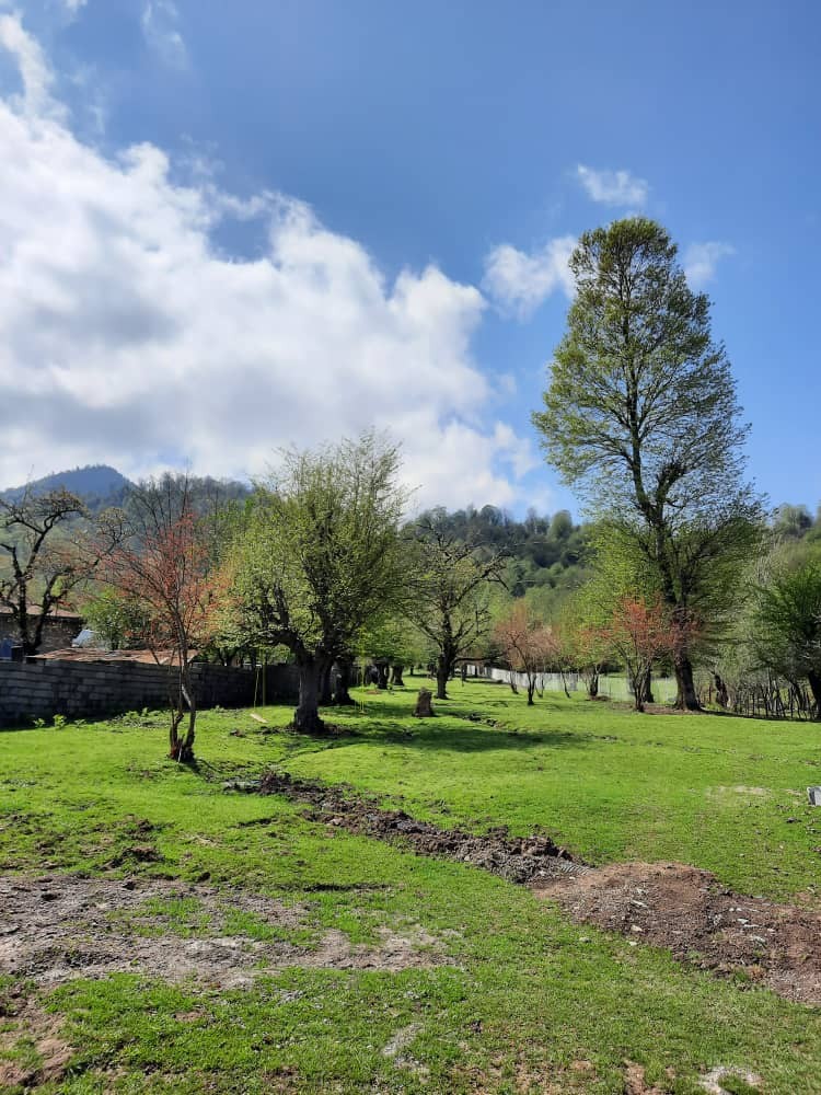 حیاط ۴هزار متری دربست حیاط ۴هزار متری دربست