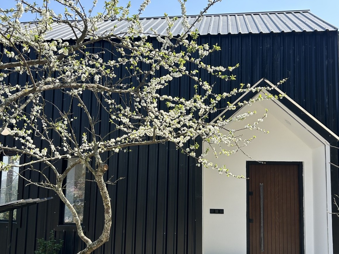 نمای ساختمان نمای ساختمان