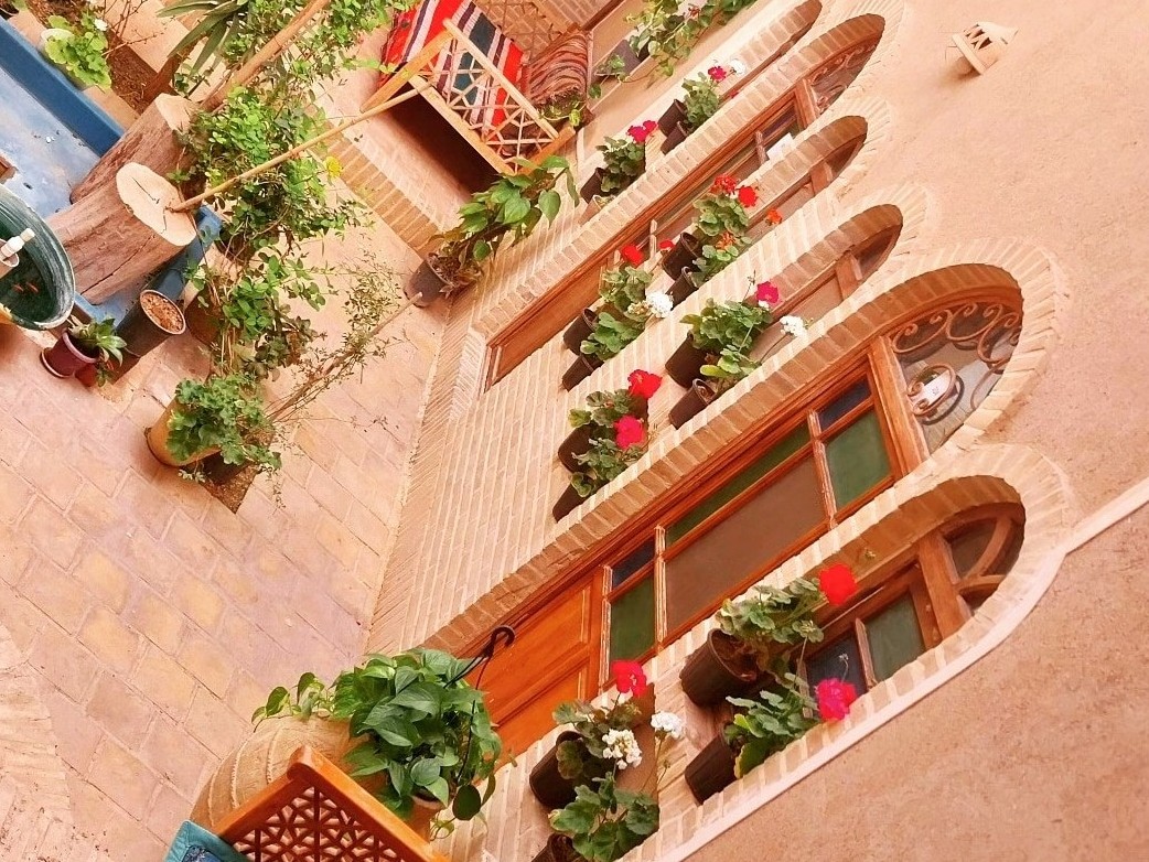حیاط