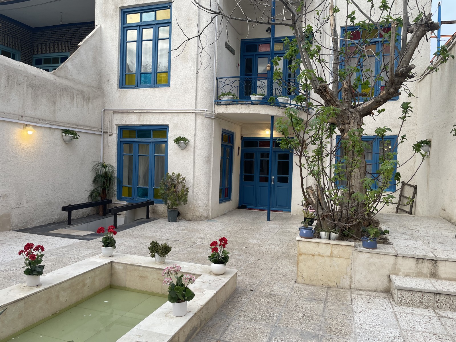 حیاط