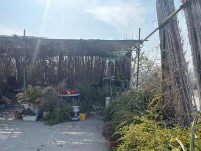 مجموعه اقامتی حافظ "واحد تک خواب ۳۰۲"