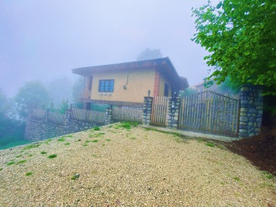 ویلای جنگلی در دوهزار