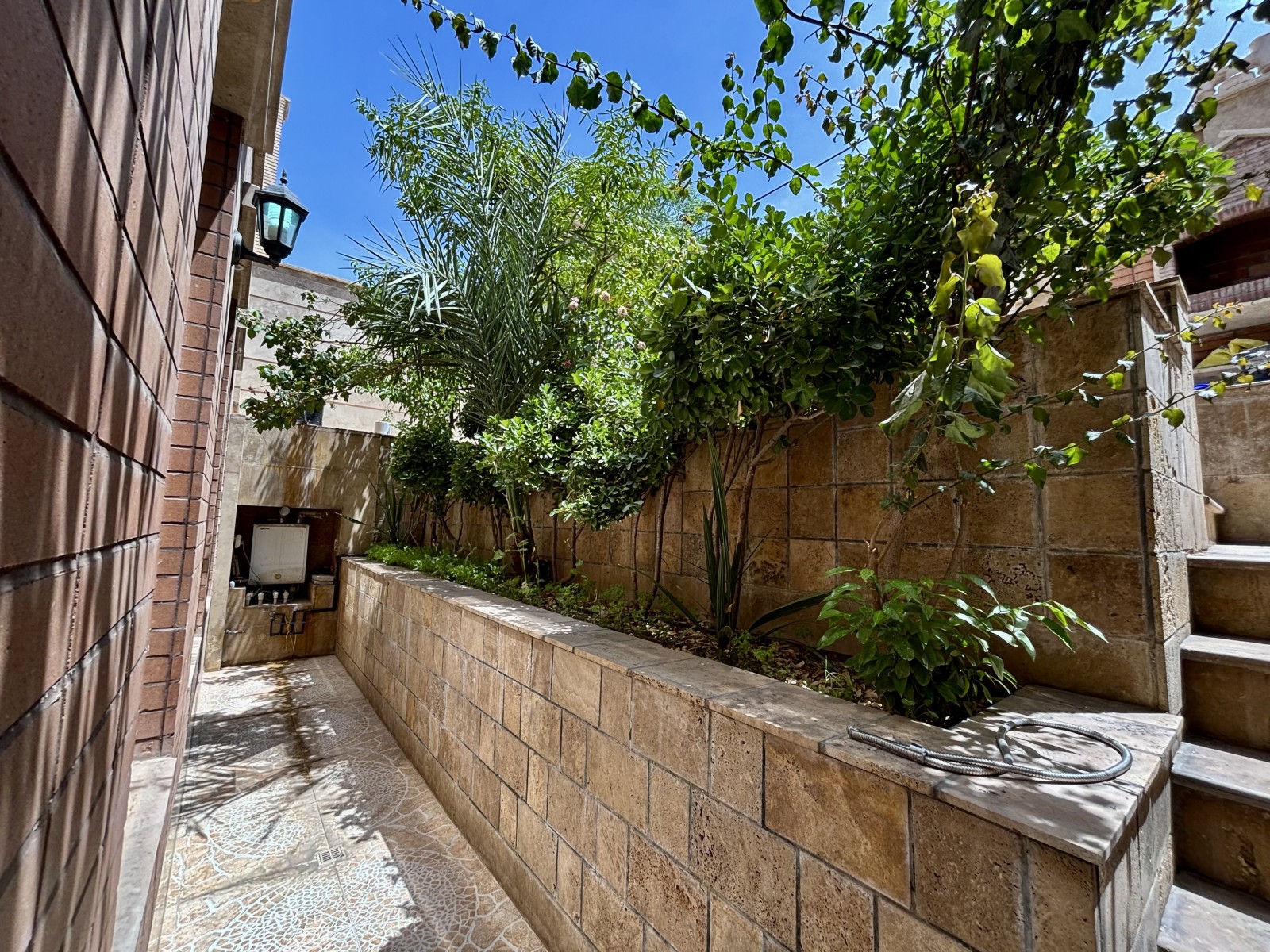 حیاط