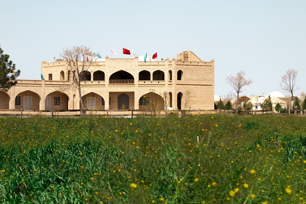 حیاط