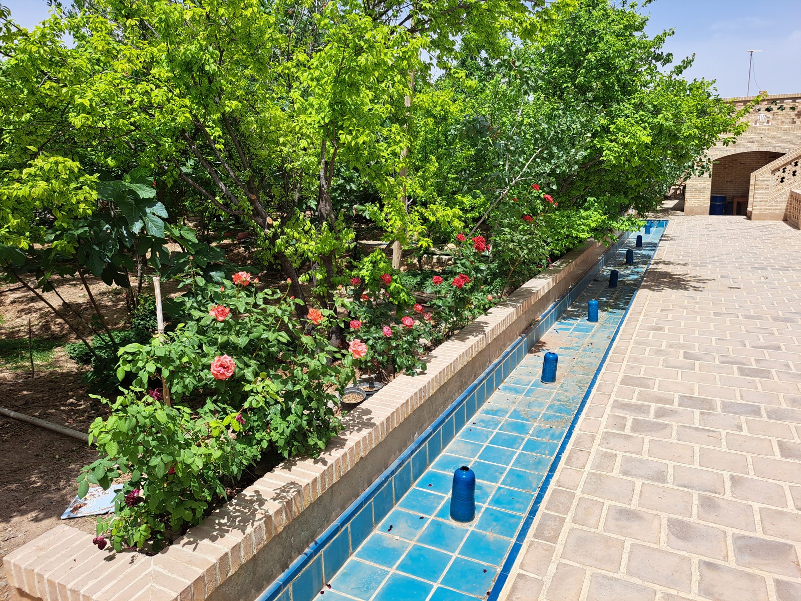 حیاط