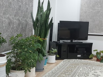 سوئیت تمیز "چشمه"