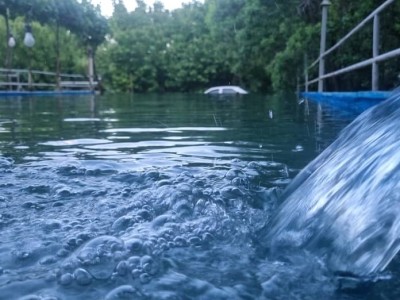 ویلای استخردار "گلها" در گلپایگان
