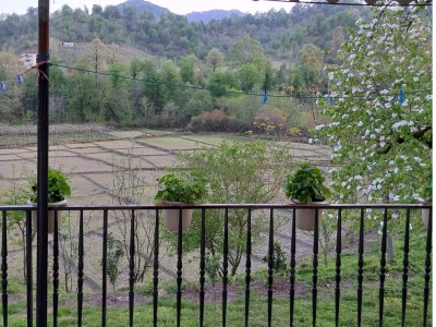 ویلای حیاط‌دار "لوشکی" در تالش