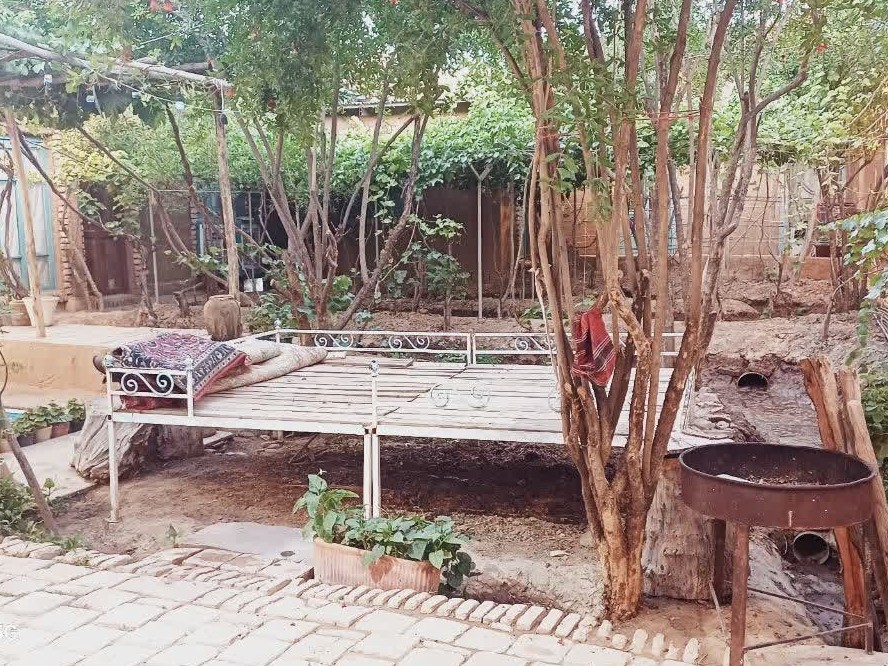 حیاط