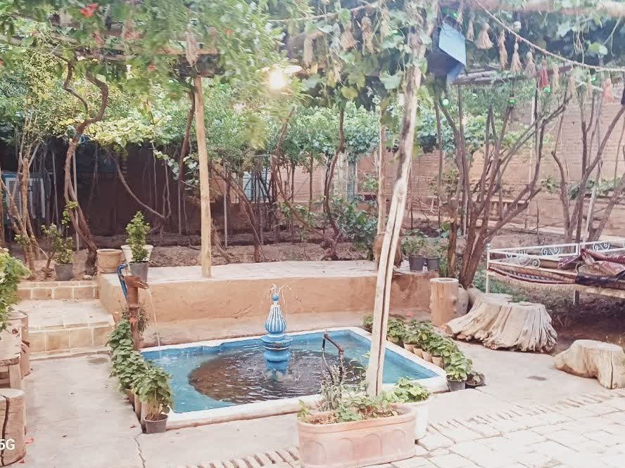 حیاط