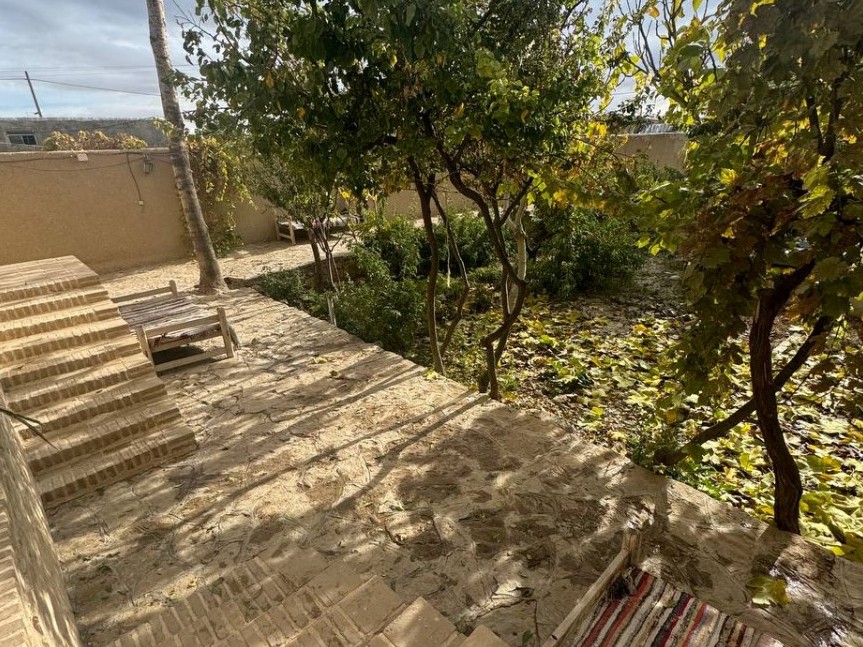 حیاط
