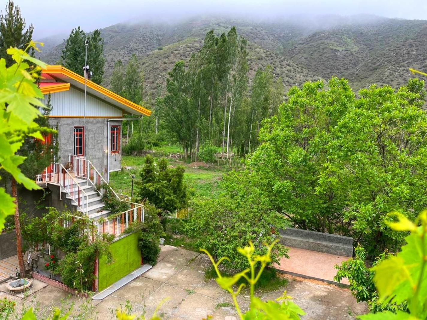 نمای ساختمان