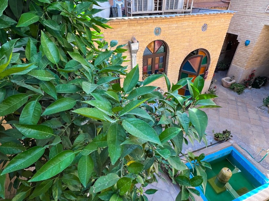 حیاط