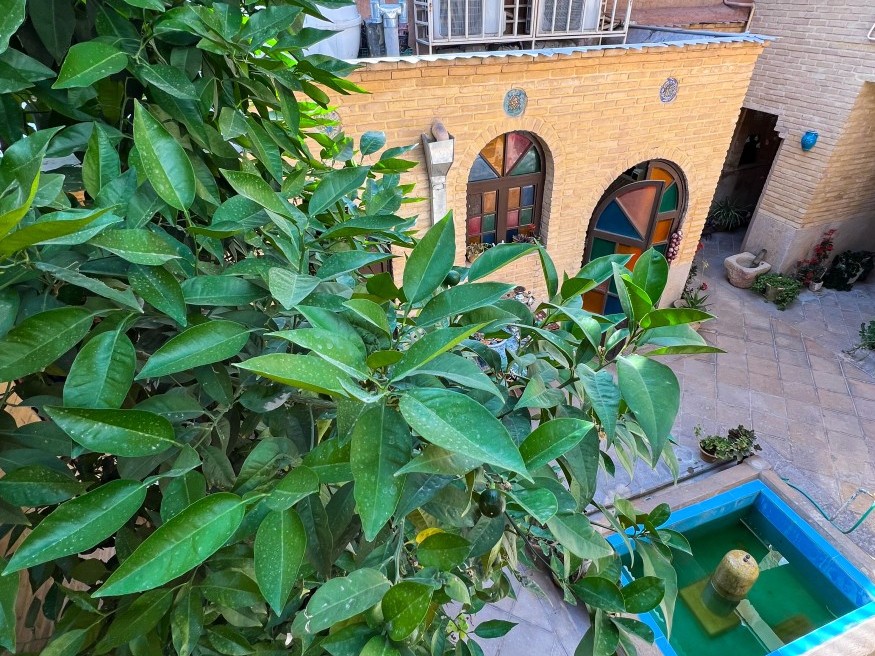 حیاط