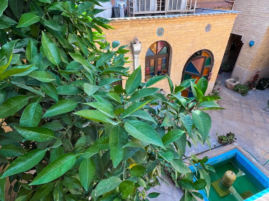 حیاط