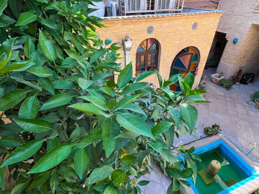 حیاط