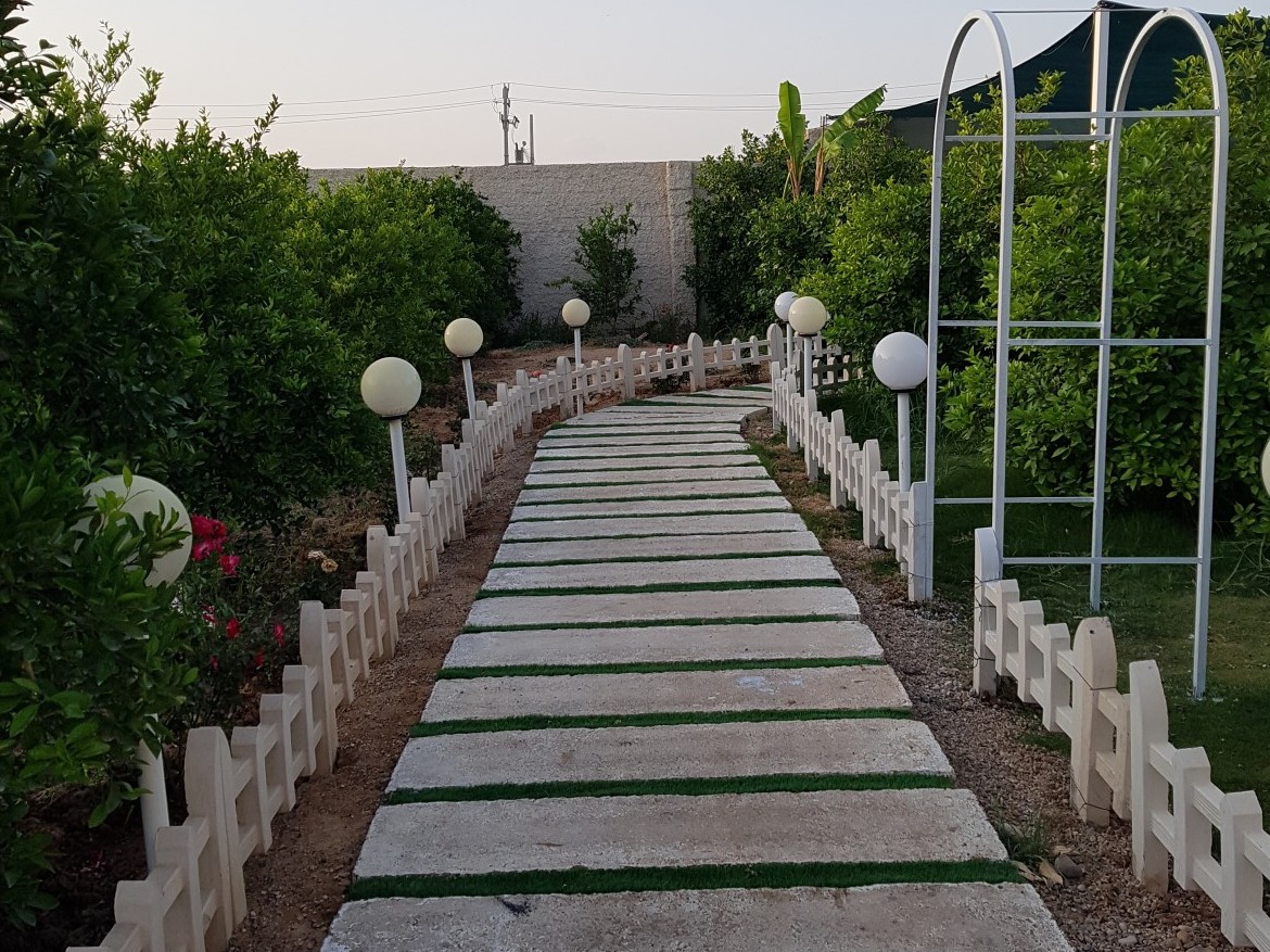 حیاط
